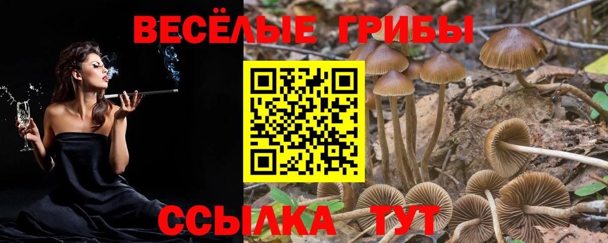 Галлюциногенные грибы мицелий Новоуральск